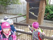 Výlet do svíčkárny Šestajovice